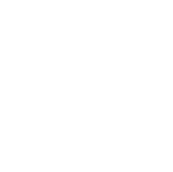 Zet5 Icon